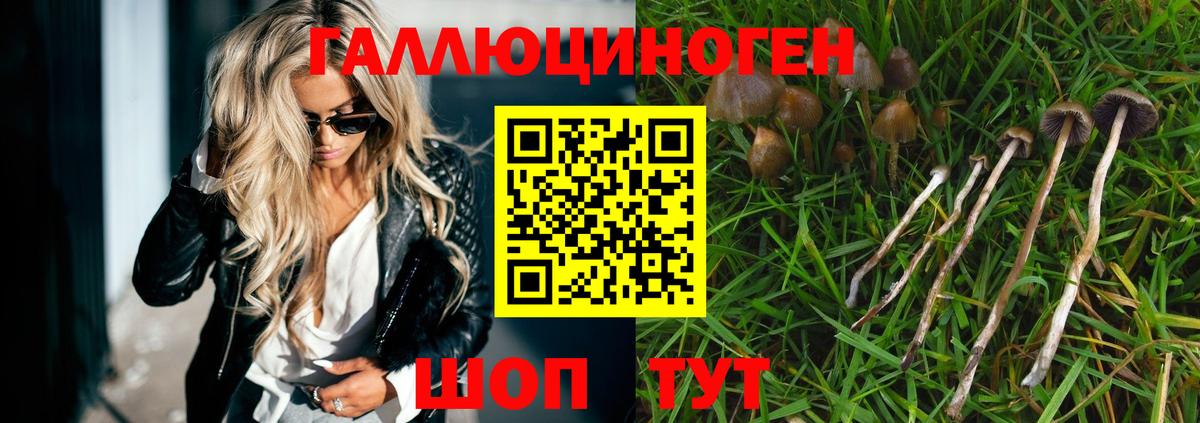Псилоцибиновые грибы GOLDEN TEACHER  Вход с VPN  Новозыбков 